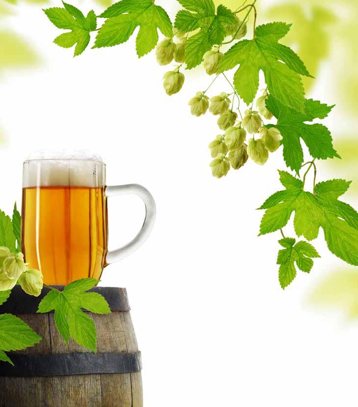 PIVO Plzeň 12 0,5 l 46 Kč Plzeň 12 0,3 l 29 Kč Kozel 0,5 l 36 Kč Kozel 0,3 l 23 Kč Kingswood Cider 0,4 l 49 Kč
