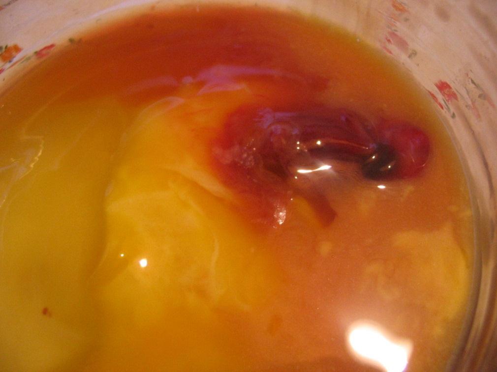Obr. č. 11. Částečně vyvinuté embryo.