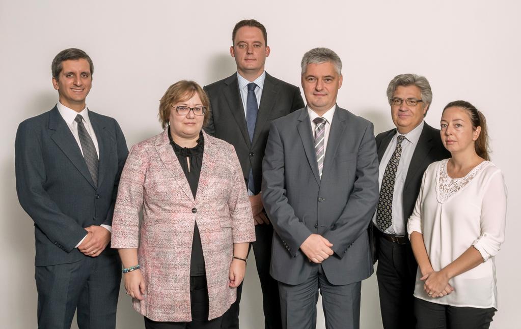 AUDITNÍ TÝM Účetní dvůr ve svých zvláštních zprávách informuje o výsledcích auditů politik a programů EU či témat z oblasti správy a řízení zaměřených na konkrétní oblasti rozpočtu.