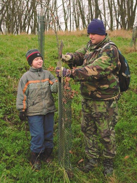 Konkrétní činnosti, do kterých se mohou dobrovolníci zapojit pomoc na akcích pro školy zajištění aktivit