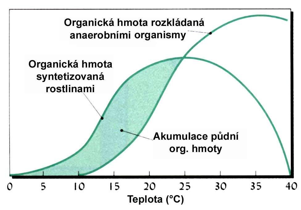 Rovnováha mezi produkcí rostlinné biomasy a její