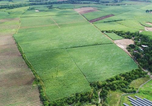 THOMASLLOYD GROUP THOMASLLOYD GROUP PŘEDSTAVENÍ NĚKTERÝCH PROJEKTŮ/PORTFOLIÍ V SEKTORU ENERGETICKÉ INFRASTRUKTURY PORTFOLIO BIOMASY JIHOVÝCHODNÍ ASIE