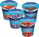 Choceňský smetanový jogurt 8 % stracciatella 11833 BM jogurt meruňkový SÝRY TVRDÉ