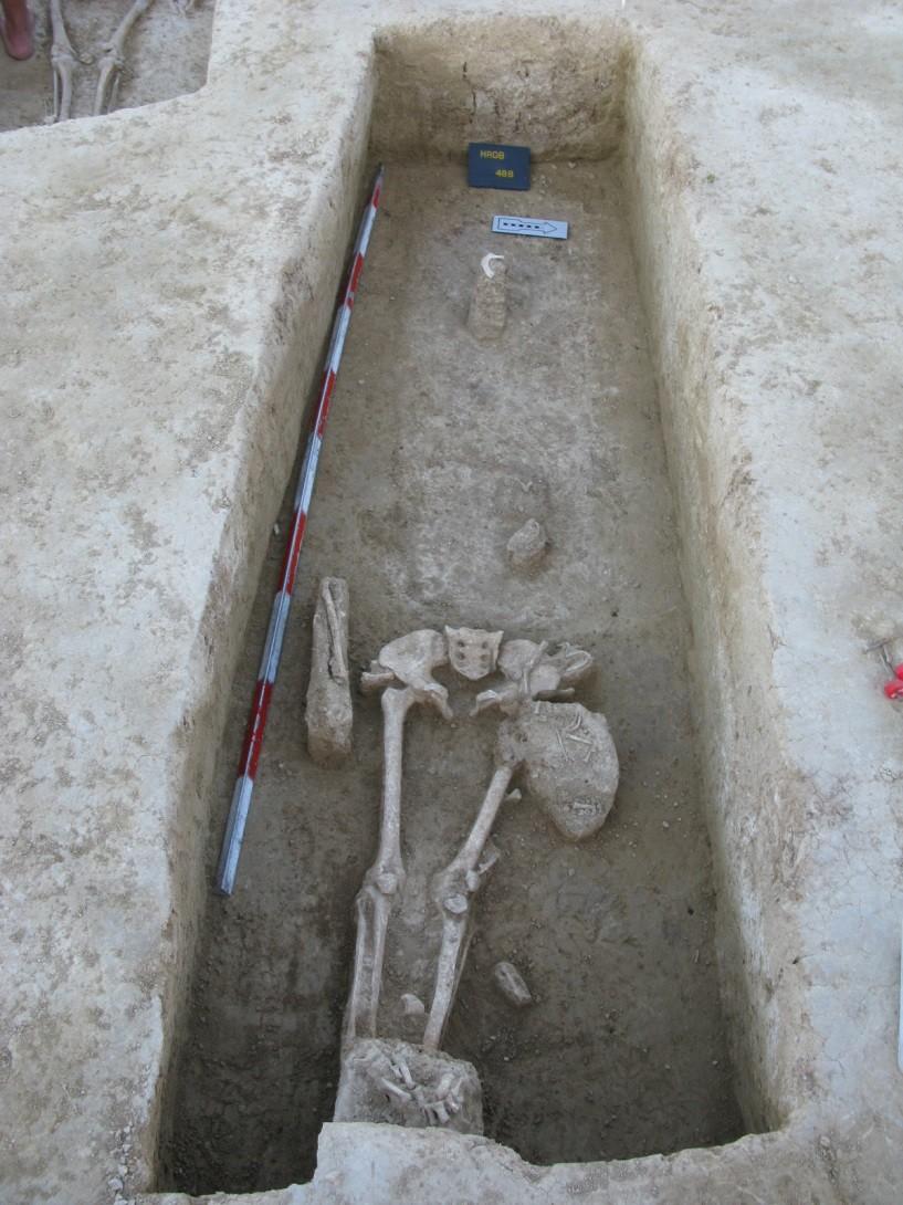 488A 488B Rok 2008 Žena 33 let 150,2 ± 4,49 cm (Drozdová, 2011) Novorozenec Hrob bez milodarů a