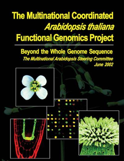 Update 2006 19 Functional Genomics Project: 2001-2010 Hlavní výsledky za posledních 5 let: 1) Upřesněna velikost genomu Arabidopsis: 146 Mbp 2)