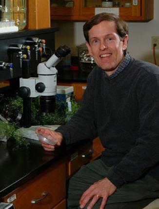 7 70. léta: pouze několik skupin pokračovalo v práci na Arabidopsis: Jaap van der Veen (Holandsko) - mutageneze, kvetení, hormony