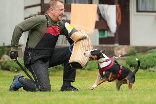 Ale vlastního bulíka? Toho přece nelze pokazit. V průběhu týdne jsme ještě malovali obrázky bulíčků na sololakové destičky.
