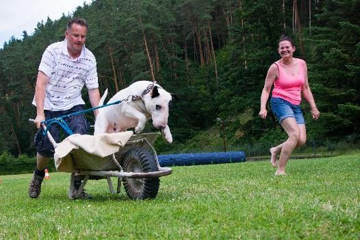 Na odpoledne byla pro změnu nachystaná akce s názve Honba za pokladem. Táborníci se rozdělili asi do 5 skupinek tak, aby se psi snesli a mohli jít spolu případně na volno.