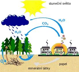 4. Dřevo jako palivo 4.1. Ekologie Při spalování suchého dřeva se uvolňuje stejné množství oxidu uhličitého jako rostlina vstřebala během svého růstu.