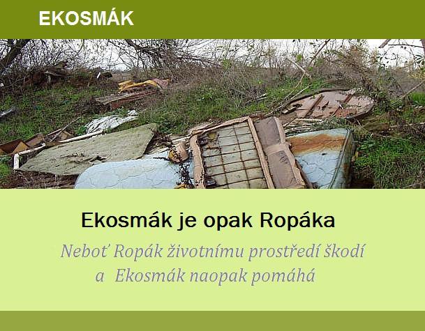 Výroční zpráva
