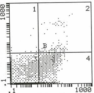 AI/CD 138 B1:,5% B1:,3% B2: 1,2% B2: 2,2% B3: 96,7% B3: 74,1% B4: 1,7% B4: