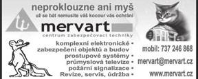 Primátorka Stejskala kritizovala za to, že chtěl po strážnících, aby byli aktivnější při vybírání pokut (Novoměstské noviny informovaly).
