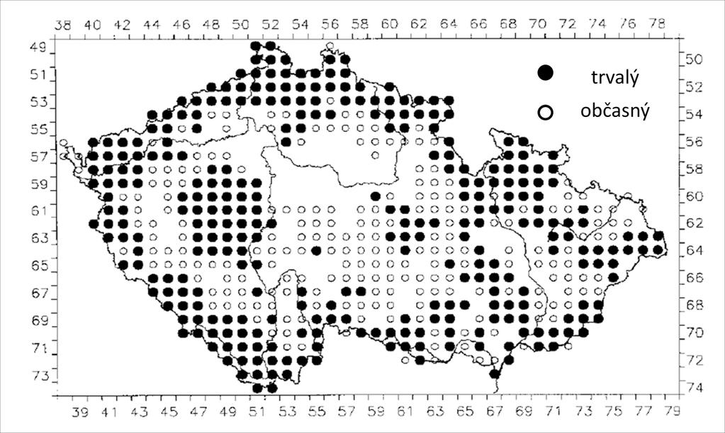 Obr. č. 1 Mapa rozšíření jelena evropského v České republice (www.omsbruntal.ic.cz) 2.1.3 Biologie jelena evropského 2.1.3.1 Popis a hmotnost Jelen evropský je u nás největším volně žijícím kopytníkem.