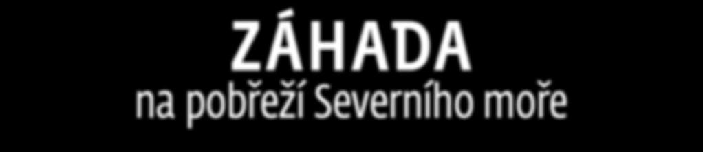 někdo nazve Francouzem nebo, nedej bože, prostým Holanďanem.