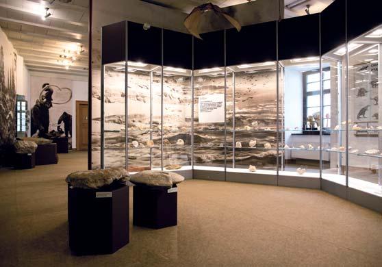 Geologicko-paleontologické oddělení Činnost oddělení byla v roce 2017 zaměřena především na akce spojené s oslavami 200. výročí založení MZM.