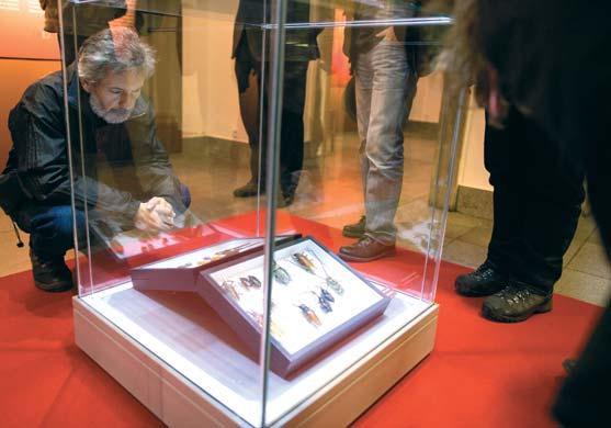 Procházka) a prezentaci Entomologického oddělení k 200. výročí založení muzea (P. Baňař, J. Kolibáč).