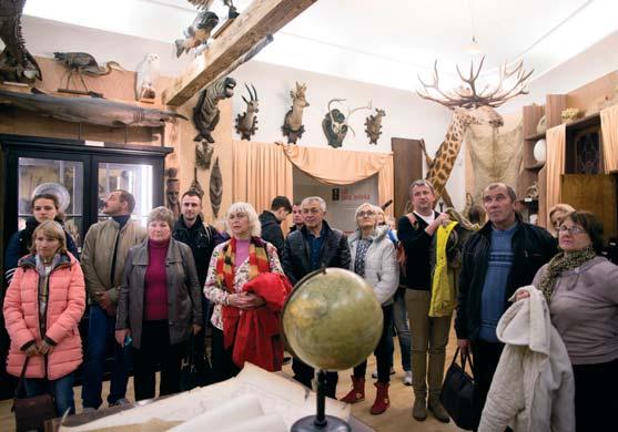 4. 2017) Den dětí 2017 v Pavilonu Anthropos (1. 6. 2017) Workshop pro rodiče, prarodiče s dětmi ve výstavě Recyklace šijeme, přešíváme, přeplétáme (17. 6. 2017) Týden dětí s MZM 2017 (28. 8. 1. 9.