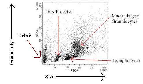 umožňuje elektronickou selekci (gating) analyzovaných částic při současném zpracování jednotlivých signálů. (Šinkorová et al., 2008; Marinov, 2008) 2.2.7.1.