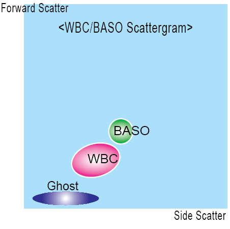 Na obr. 6 je znázorněno grafické rozložení leukocytů a bazofilů ve WBC/BASO scattergramu. Obr. 6 Grafické znázornění leukocytů a bazofilů ve WBC/BASO scattergramu (Převzato ze Sysmex, 1999) 2.