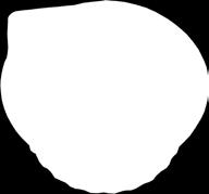 SLEVA 33 % 2 1 1 kg =