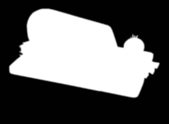 standard Viktorie