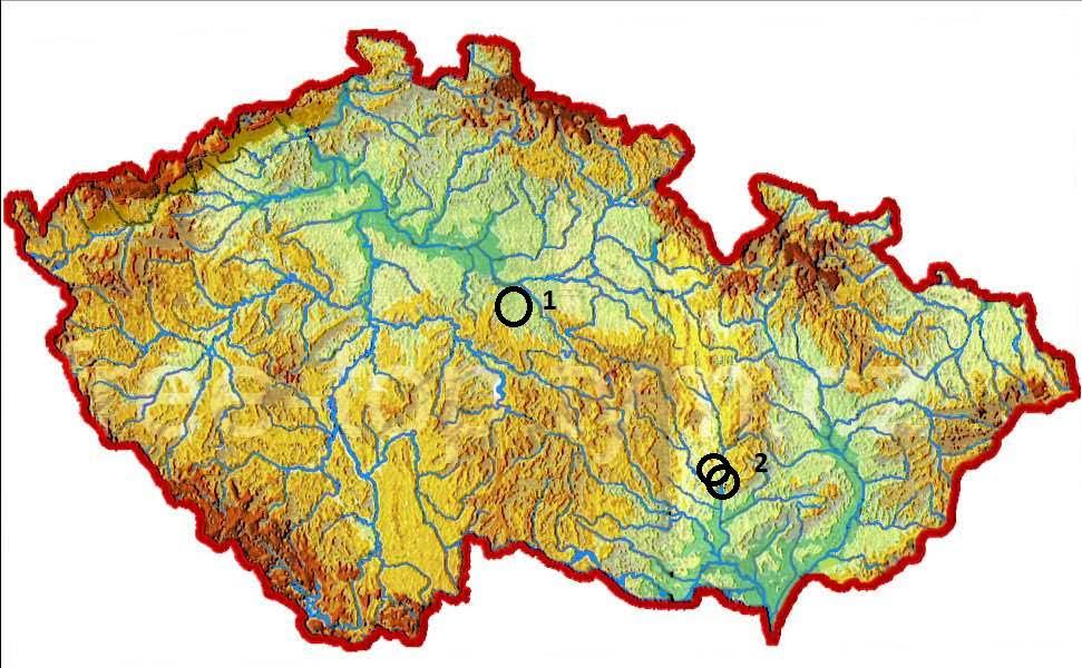 Žlabatka Dryocosmus kuriphilus ČR 2012: zásilky napadených