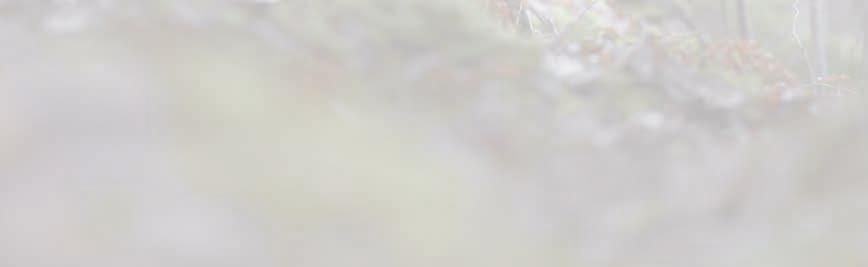 Kratší bunda z tichého materiálu v jedinečném kamuflážním vzoru s vodě a větruodolnou membránou COVERTEX.