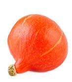 Palačinky z pohankové a rýžové mouky s dýní hokkaido 1 lžíce lněného semínka, 100 g pohankové mouky, 100 g rýžové mouky, špetka kurkumy, špetka koriandru, 1 lžička bio vinného kamene, 250 ml obilného