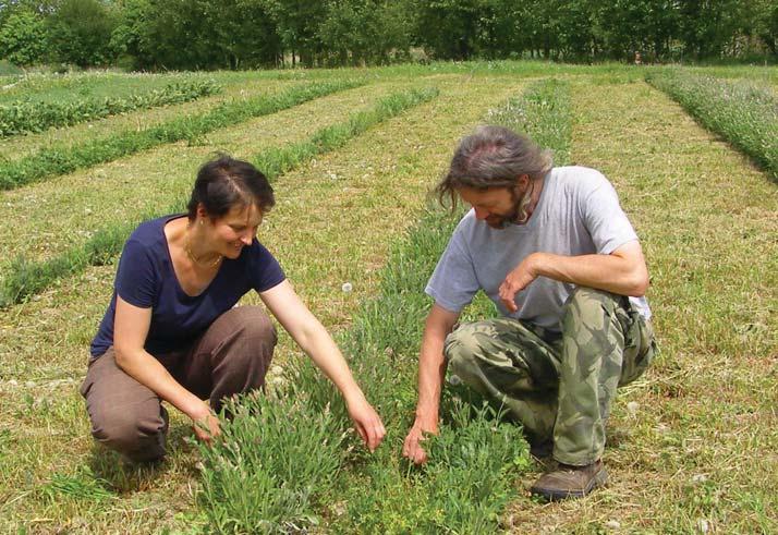 biozeleninu. Postavili také fóliovník pro zeleninu. Od roku 2008 tedy hospodaří zemědělský inženýr a jeho partnerka se zkušenostmi z překladatelství a poradenství, ekologicky.