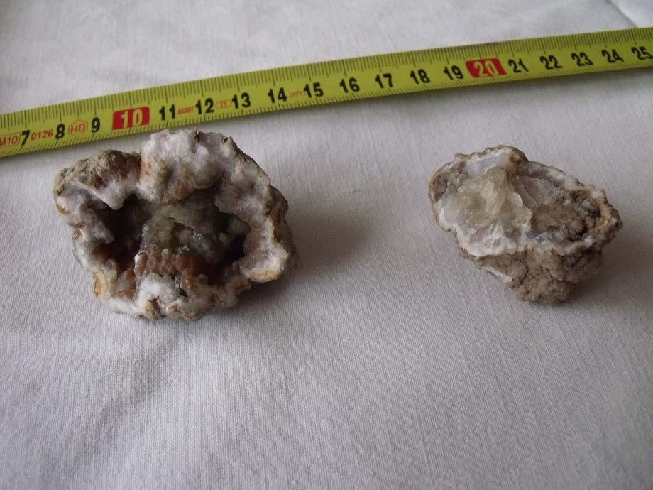 Bádenská mořská vegetace byla, až na malé výjimky opatřena kalcitovými schránkami a skelety. Ne nadarmo se kalcifikované miocénní jílovité sedimenty označují jako šlíry.