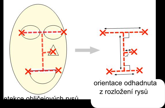 vnitřní koutky očí a úst a špičku nosu [20]. Natočení okolo osy lze vyčíst z rozdílu velikostí očí.