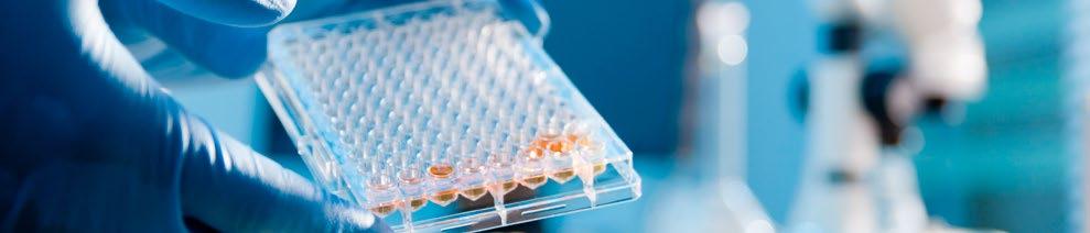 Ústav patologické fyziologie 1. LF UK 5 Popis vědeckých projektů a činnosti laboratoří v roce 2017 LABORATOŘ TRANSLAČNÍ HEMATOLOGIE Skupina vedená doc.
