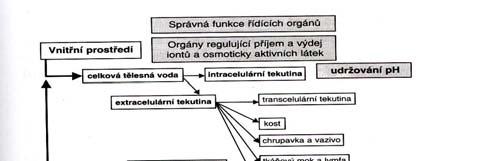 Homeostáza = stálost vnitřního prostředí (+ mechanismy