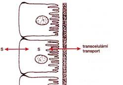 mechanismy 1)