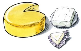Sýry jsou jedním z nejdéle vyráběných mléčných výrobků. Podle staré legendy byl první sýr objeven asijským kočovníkem, který si jeden ze svých cestovních vaků na vodu naplnil mlékem.