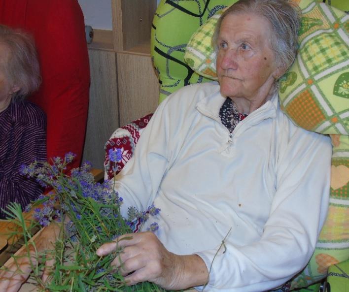 stihli skovat.