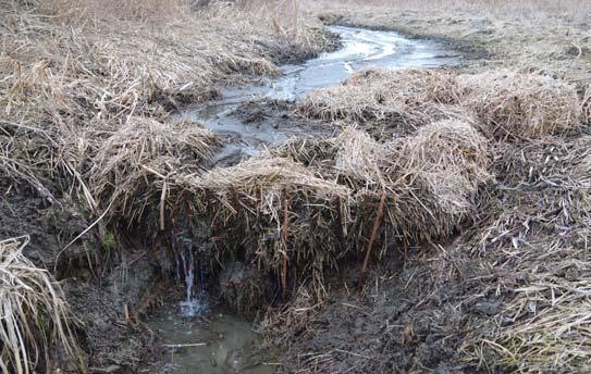březen 2018 RYBNÍKÁŘSTVÍ VĚDA A VÝZKUM Možnosti zachycení a recyklace unikajících sedimentů.