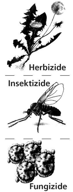 4 Použití postřikových prostředků a plnění nádrže postřiku / 5 Užívání zádového postřikovače Plnění nádrže postřiku: Během plnění vždy používejte a sledujte plnící síto umístěné v plnícím hrdle
