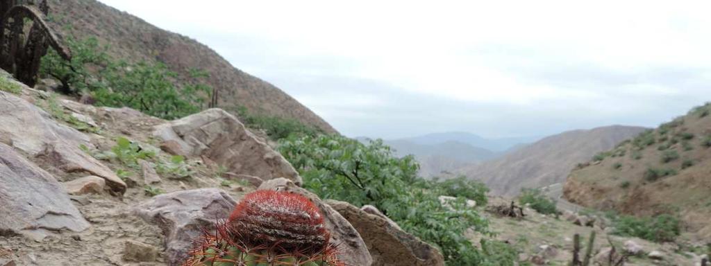 914 m, KL15-003 