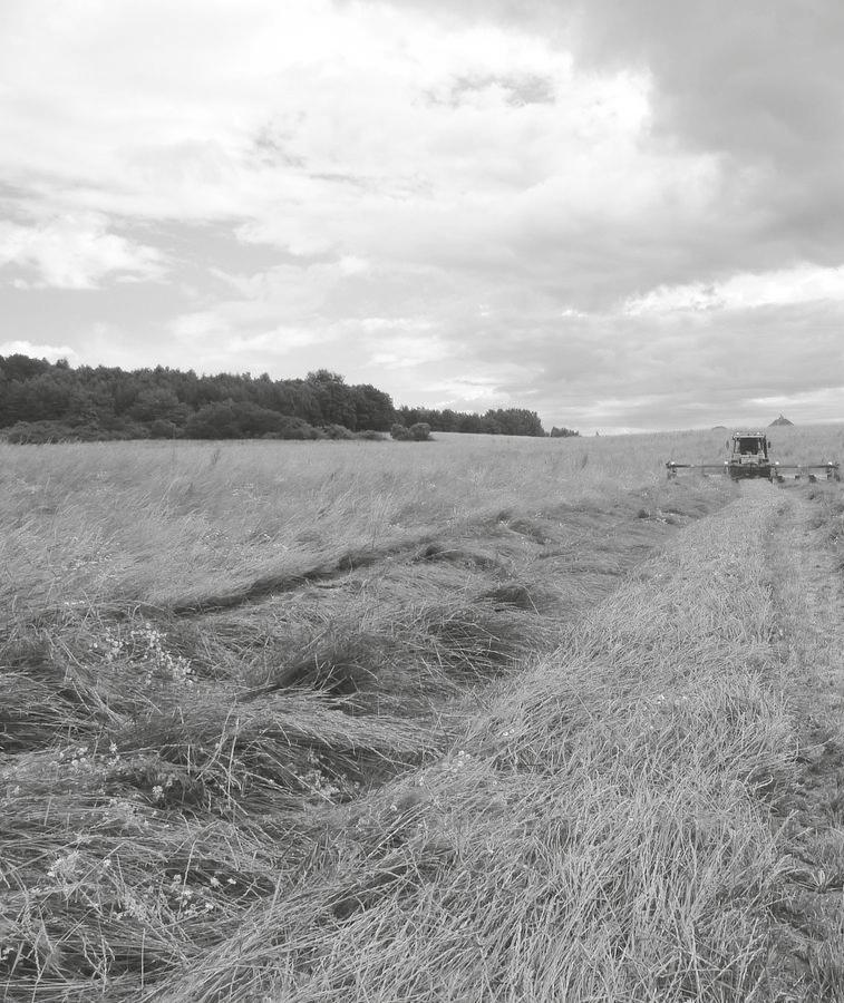 zemědělská výroba živočišná výroba polní rostlinná výroba Adresa: Jízdárenská 493,