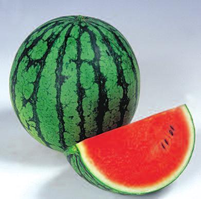 zelenošedá Chuť: dladká Hmotnost: 2 kg Vodní meloun
