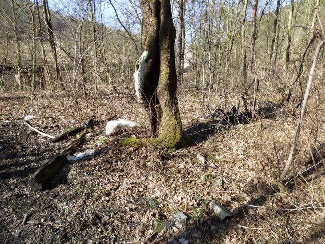 odpadů, doprovázené silný černým kouřem a zápachem spálených plastů.
