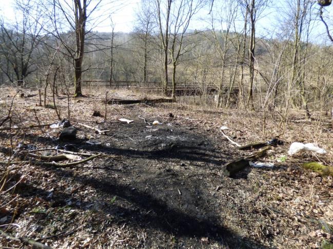 Předseda komise navrhl uvedená místa kontrolovat pomocí foto pastí a