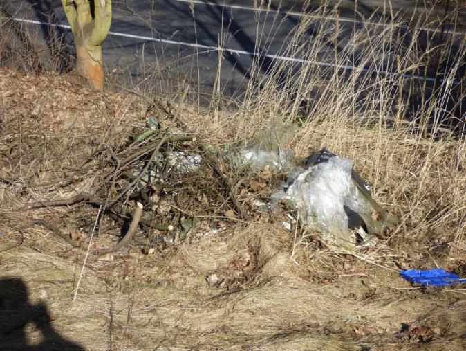 V prostoru mezi Českolipskou ulicí a železniční tratí u Valkeřické ulice (GPS 50.7299811N, 14.