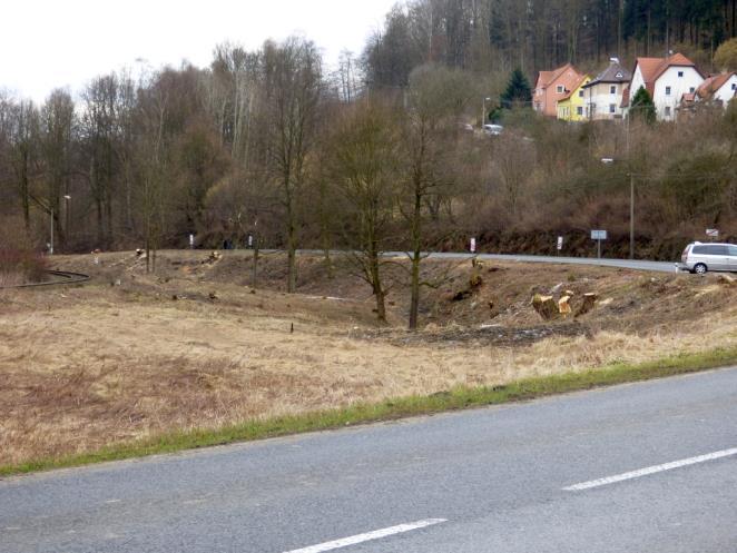 Pařezy dokazují, že se v mnoha případech jednalo o stromy podléhající ze zákona povolení k jejich odstranění.
