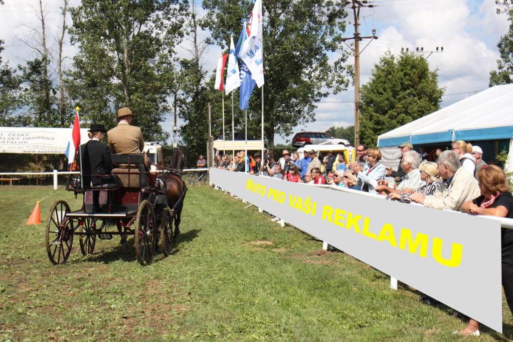 regionálních firem a dalších