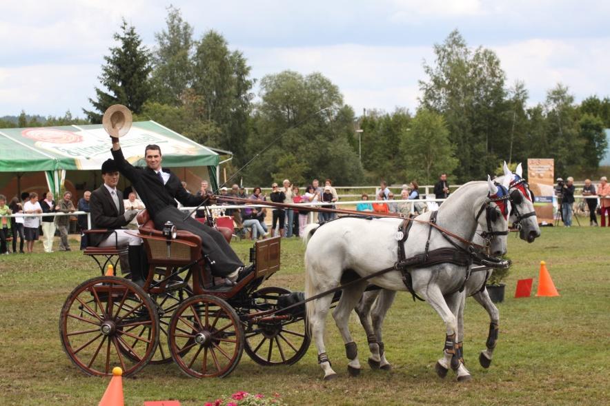 karlovarská WPC SHP Minihorse Show 18.-20.8. Drezurní závody CDN,KMK,ČDP + Oblastní mistrovství KV 29.9. Drezurní hoby závody pro děti a začínající jezdce 30.