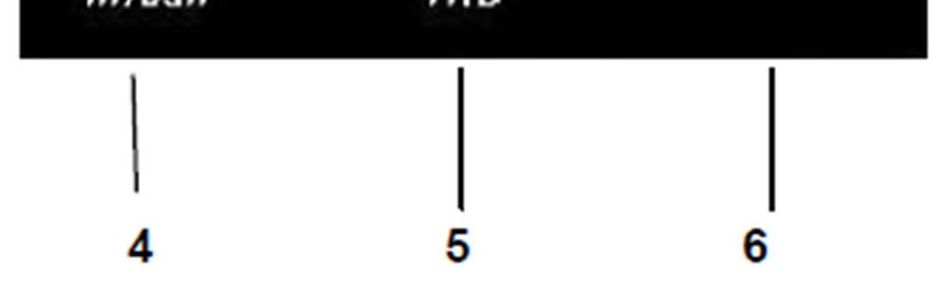 odporu 2. Výběr typu měření (AC, DC. AC + DC) Výběr měření 1 fáze nebo 3 fází 3. Zapnutí a vypnutí podsvícení displeje 4.