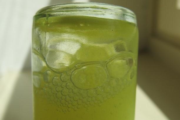 sediment než u suspenze s obsahem 1,5 % methylcelulosového slizu. Ke snížení roztřepatelnosti sedimentu může však dojít v případě skladování v chladu.