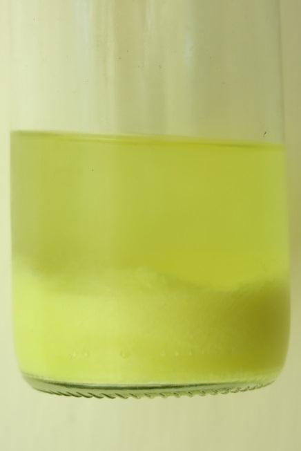 suspenzi 6